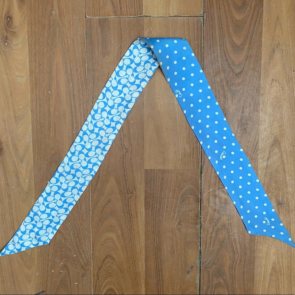 Blue Coach Scarf